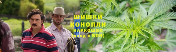 молекула духа Киреевск