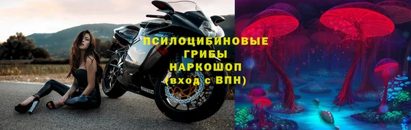молекула духа Киреевск