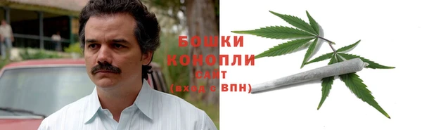 молекула духа Киреевск