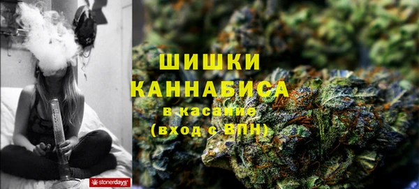 молекула духа Киреевск