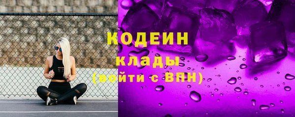 молекула духа Киреевск