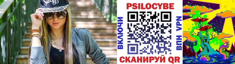 Купить где  Задонск  Галлюциногенные грибы Magic Shrooms 